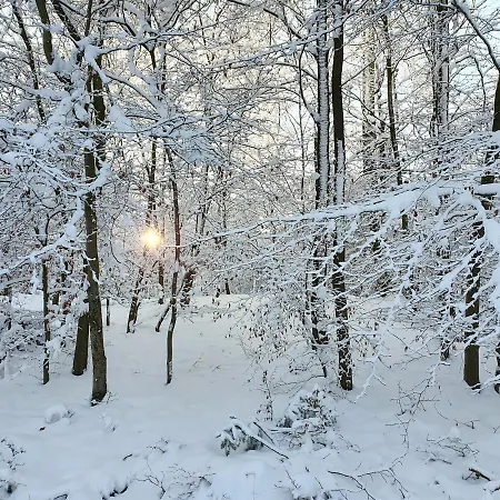 アパート Haus Nordlicht ホルン・バート・マインベルク
