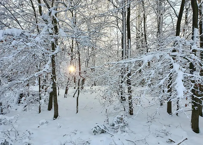 アパート Haus Nordlicht ホルン・バート・マインベルク