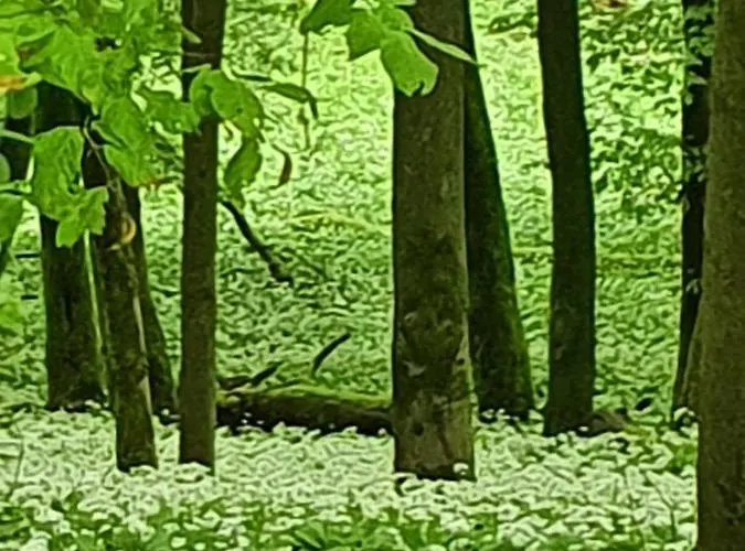 アパート Haus Nordlicht ホルン・バート・マインベルク