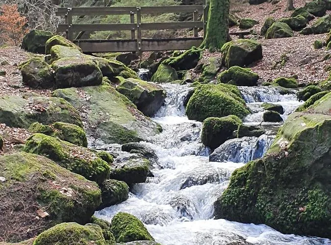 Apartment Haus Nordlicht