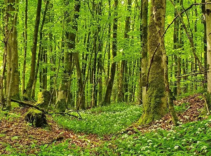 アパート Haus Nordlicht ホルン・バート・マインベルク