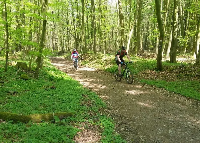 Haus Nordlicht Apartment Horn-Bad Meinberg